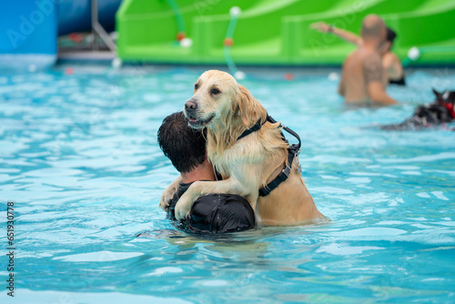 dog scared in the water holding on to his owner