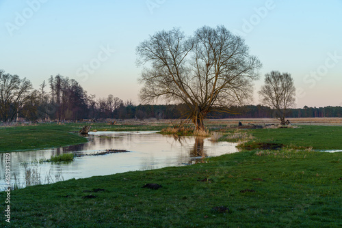 Fototapeta Naklejka Na Ścianę i Meble -  Landscapes along the Oder River in Poland