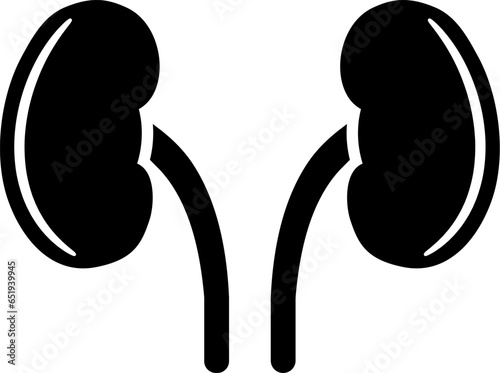 Two kidneys icon in flat style.