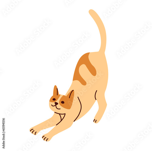 Cute funny domestic animal or pet. Adorable stretching kitty or pussycat.
