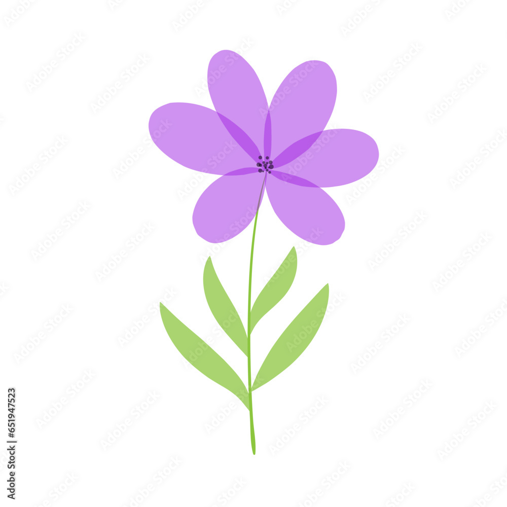 Beautiful delicate flower. lilac chamomile on a white background. Cute field daisy. Vector illustration. Beautiful delicate flower. lilac chamomile on a white background. Cute field daisy. Vector illustration.