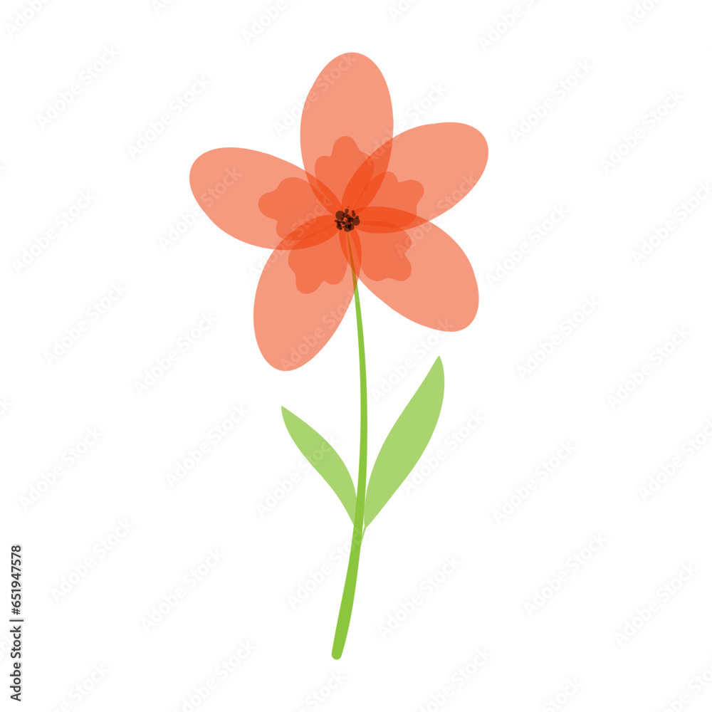 Delicate beautiful flower. Red chamomile on a white background. Cute wild flower. Vector illustration.