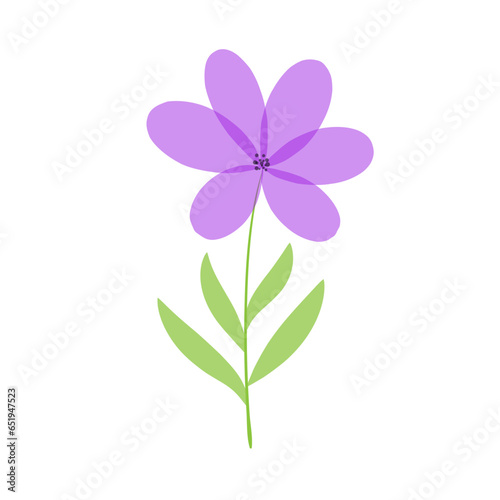 Beautiful delicate flower. lilac chamomile on a white background. Cute field daisy. Vector illustration.