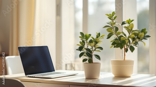 A minimalistic office desk under soft, natural light, featuring a laptop, sleek stationery, and a potted plant, exudes an atmosphere of productivity and peace.