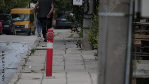 Ordinary day on the streets of the small town Bansko in Bulgariq, Europe. HQ 4K Apple ProRes slow motion video. photo
