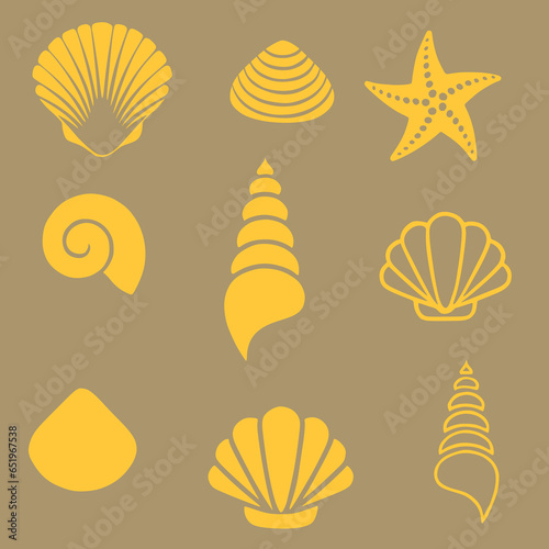 Obraz na plátně various sea shells