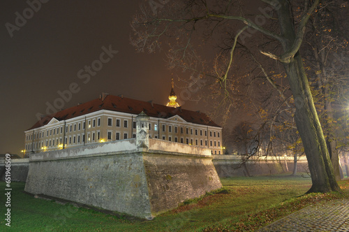 Zamek w Rzeszowie oświetlony nocą we mgle