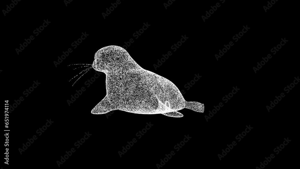 3D Fur seal rotates on black background. Marine concept. Marine animals. Business advertising backdrop. For title, text, presentation. 3d animation 60 FPS 3D Fur seal rotates on black background. Marine concept. Marine animals. Business advertising backdrop. For title, text, presentation. 3d animation 60 FPS