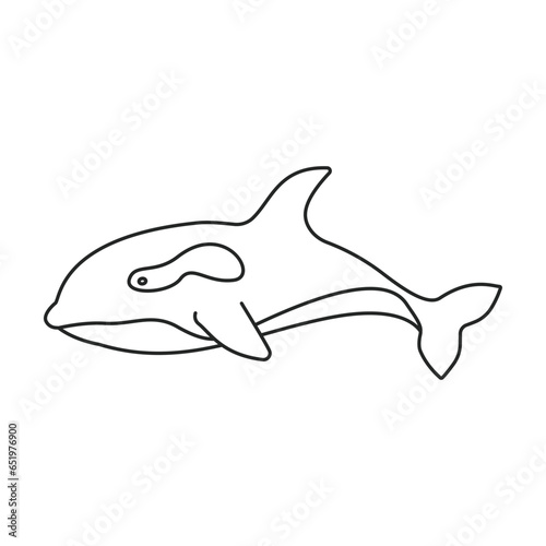 Whale orca vector icon. Outline vector icon isolated on white background whale orca.