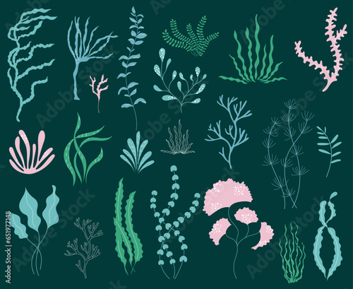 Hand drawn set of elegant seaweeds with texture. Vector illustration of underwater sea plants.