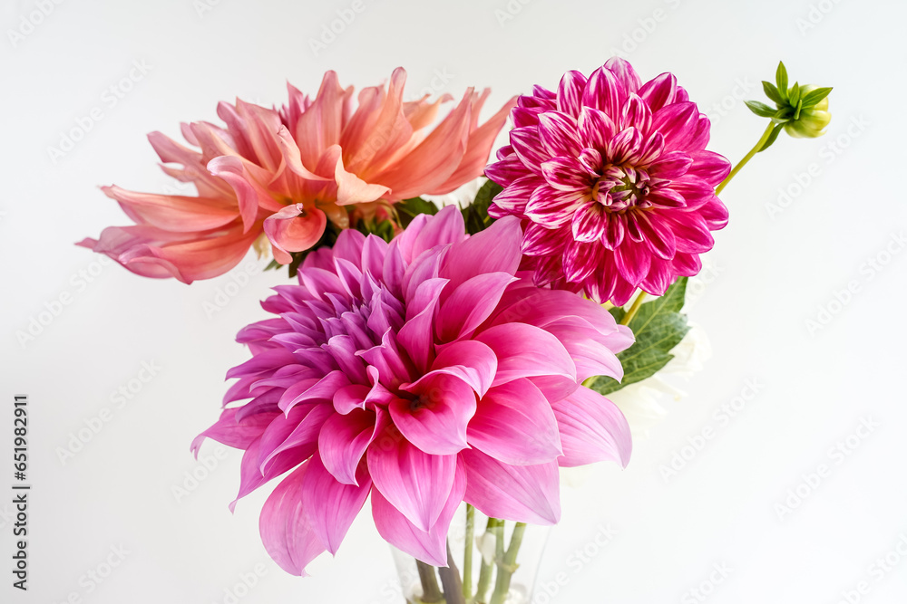 Trio of different dahlia flowers in a glass vase. White background. Pink and peach color flowers.