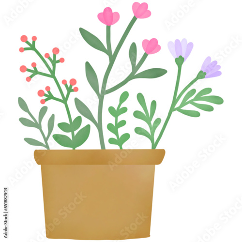 flower in a pot