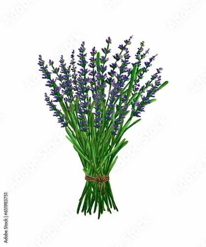 Bouquet of lavender with hemp cord isolated on white  hand drawn marker illustration in watercolor technique. For postcards  greeting cards  scrapbooking  any design ideas