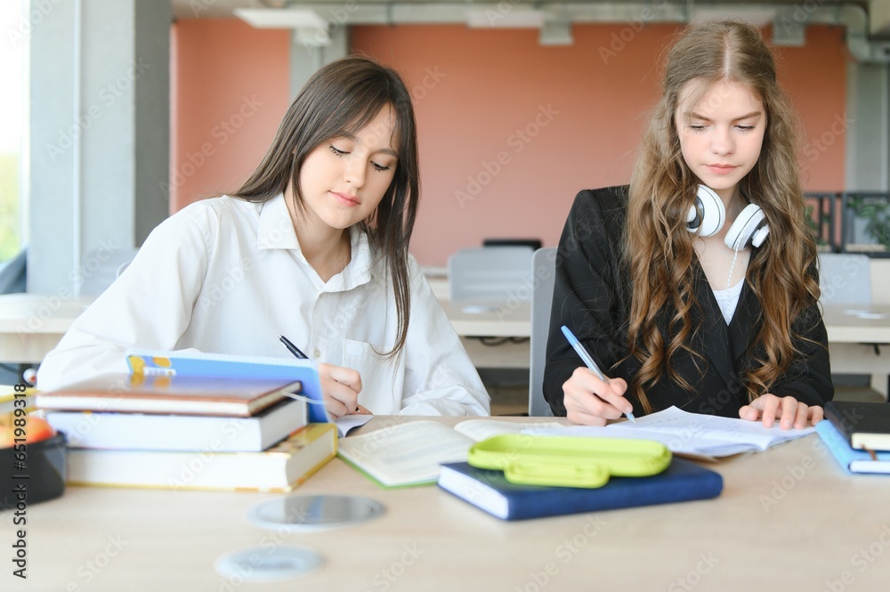 Portrait of two girls at workplace with books. School education Portrait of two girls at workplace with books. School education