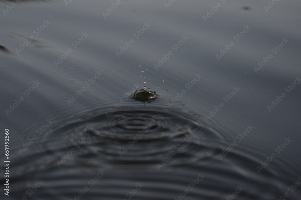 ripples in water