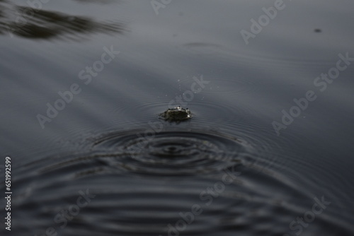 ripples on the lake