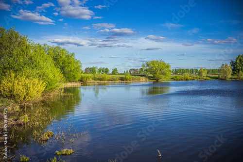 Fototapeta Naklejka Na Ścianę i Meble -  summer pond in the countryside