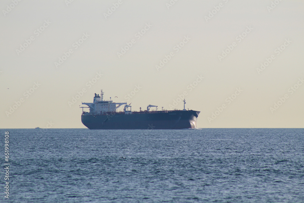 Afternoon Tranquility: Ship on the Bosphorus Strait