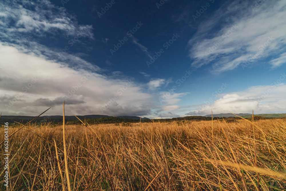 Fototapeta premium landscape with clouds on chiloe in chile