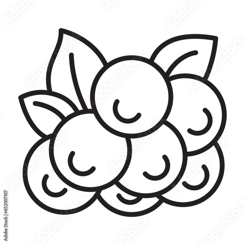 Berries Icon