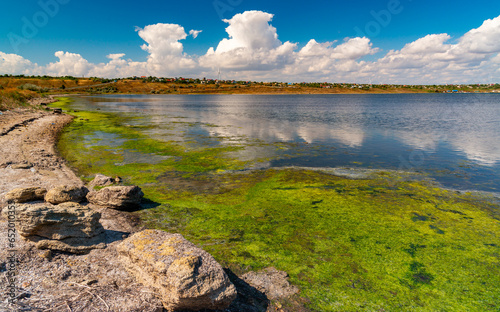 Green algae near the shore of the Tiligul estuary, large white clouds in the background, Ukraine