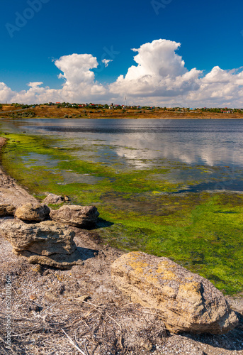 Green algae near the shore of the Tiligul estuary, large white clouds in the background, Ukraine