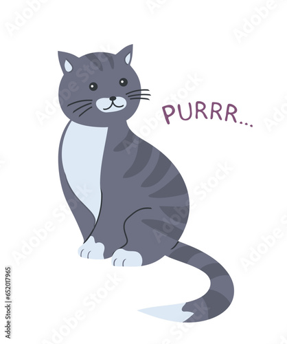 Cartoon cute gray cat on a pillow. The cat purrs. Home pet. Vector illustration isolated on white background