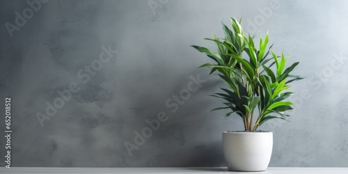 A Decorative Green House Plant Positioned Near A Concretelook Wall Showcasing A Modern Design Aesthetic