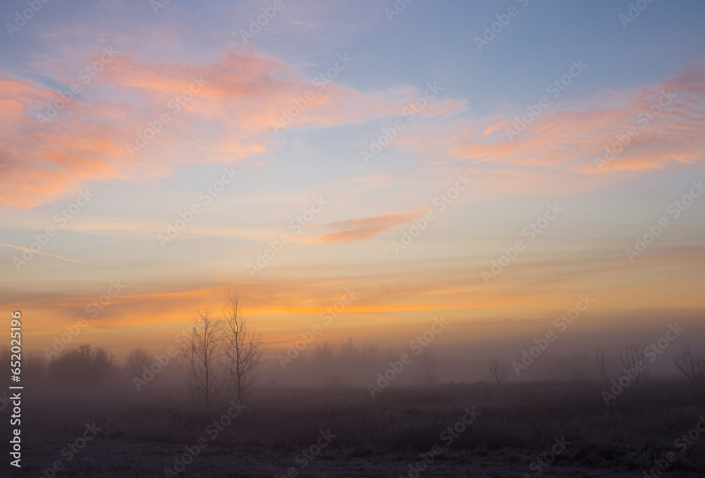 beautiful winter landscape with fog and frost