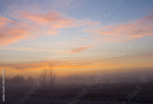 beautiful winter landscape with fog and frost