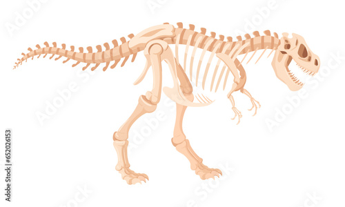 Dino skeleton. Cartoon archaeological dinosaur fossil bones. Jurassic tyrannosaurus raptor flat vector illustration. Ancient fossil skeleton © GreenSkyStudio