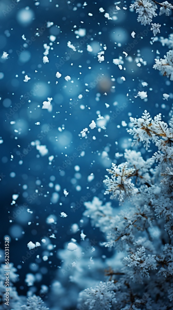 Winter background with snowflakes close-up and blue tint, snow-covered trees, free copy space, cold time, Concept: landscape splash screen Winter background with snowflakes close-up and blue tint, snow-covered trees, free copy space, cold time, Concept: landscape splash screen