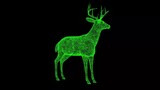 3D Young deer on black background. Zoo Park concept. Wild animals. Business advertising backdrop. For title, text, presentation. 3d animation.