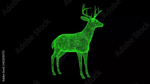 Canvas Print 3D Young deer on black background