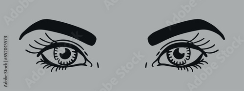 Eyes with eyebrows. Vector on white background