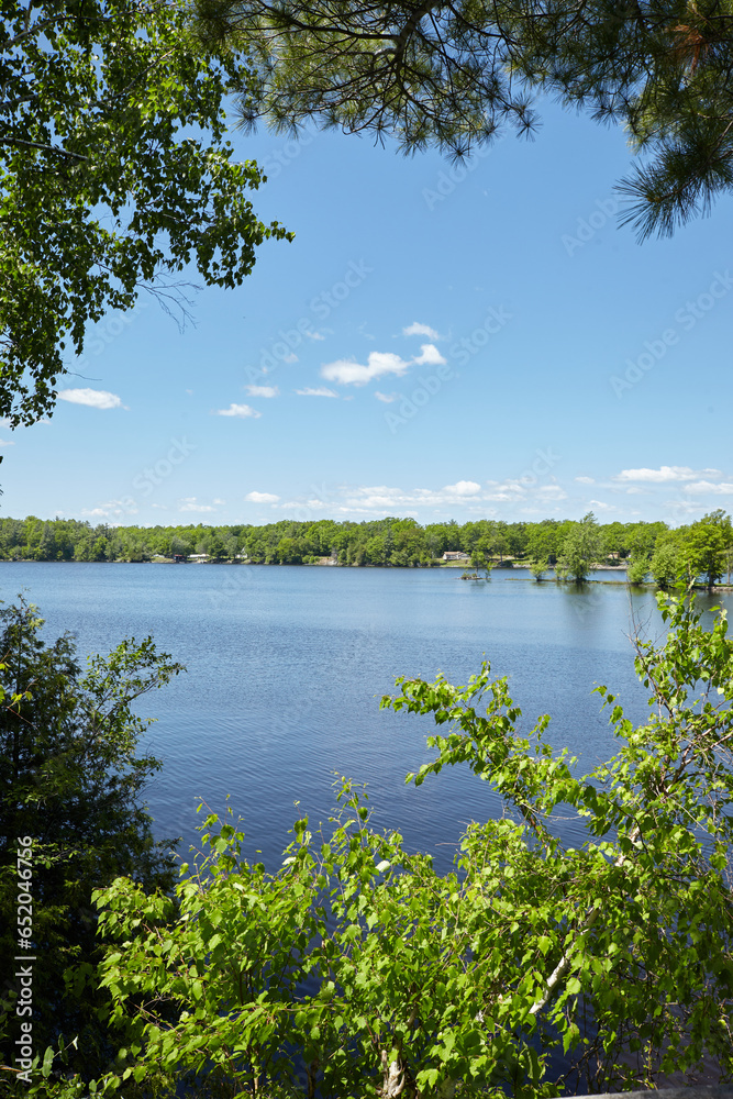 Still blue lake surrounded by branches with bright green leaves. 