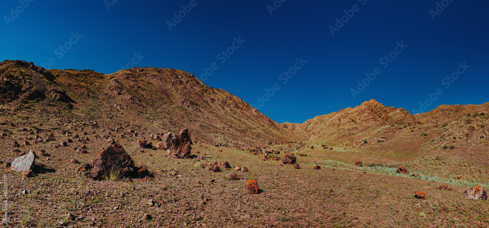 Panoramic landscape in high mountains at summer