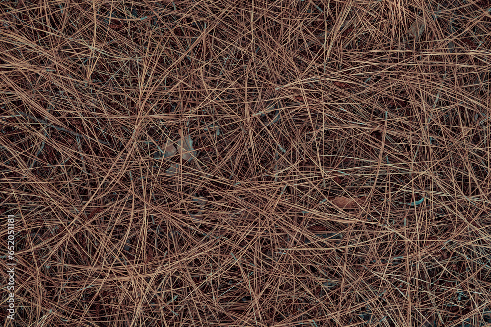 Background of fallen dry pine needles Background of fallen dry pine needles