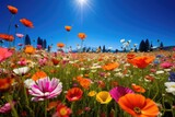 A field of vibrant wildflowers in full bloom