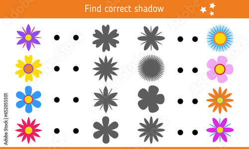 Find correct shadow for the flowers. Educational game for children. Vector illustration
