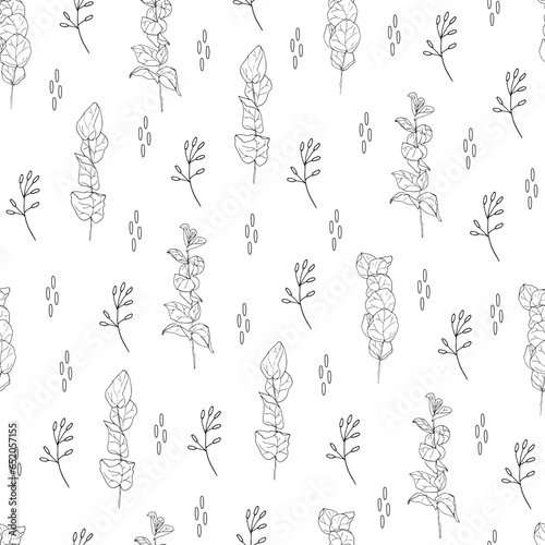Eucalyptus twigs on white background. Hand-drawn vector illustration. Seamless pattern. © Elena Makina