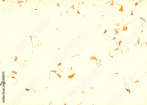 High resolution cream leach texture background board