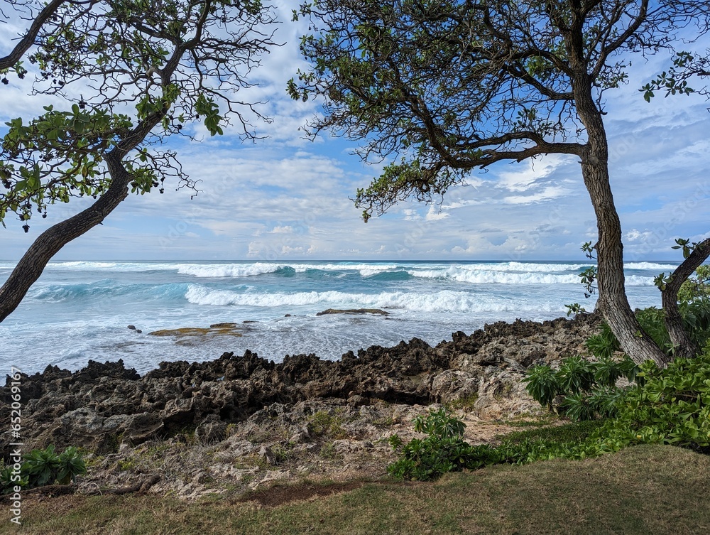 hawaiian waves crashing on the coastline hawaiian waves crashing on the coastline