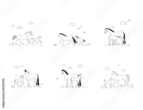 Set of scenes, horse mothers with their foals, vector illustration