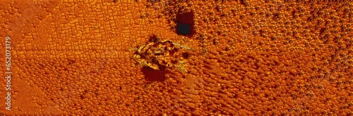 Mescla de folhas seca para formar um superfície de textura rustica e colorida.  photo