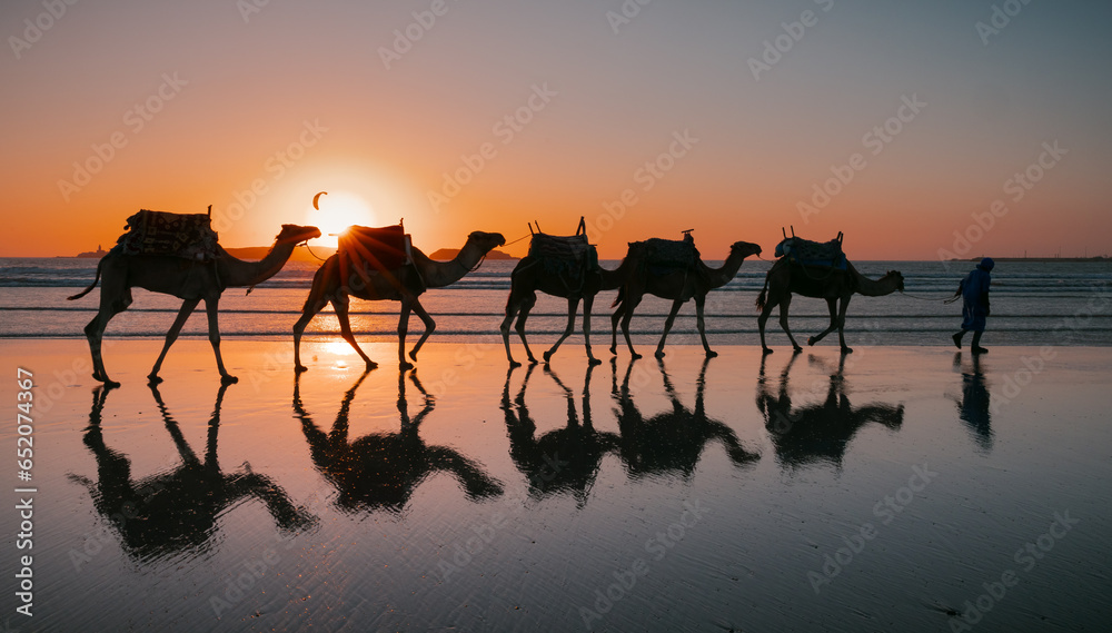sunset on the beach with camels - obrazy, fototapety, plakaty 