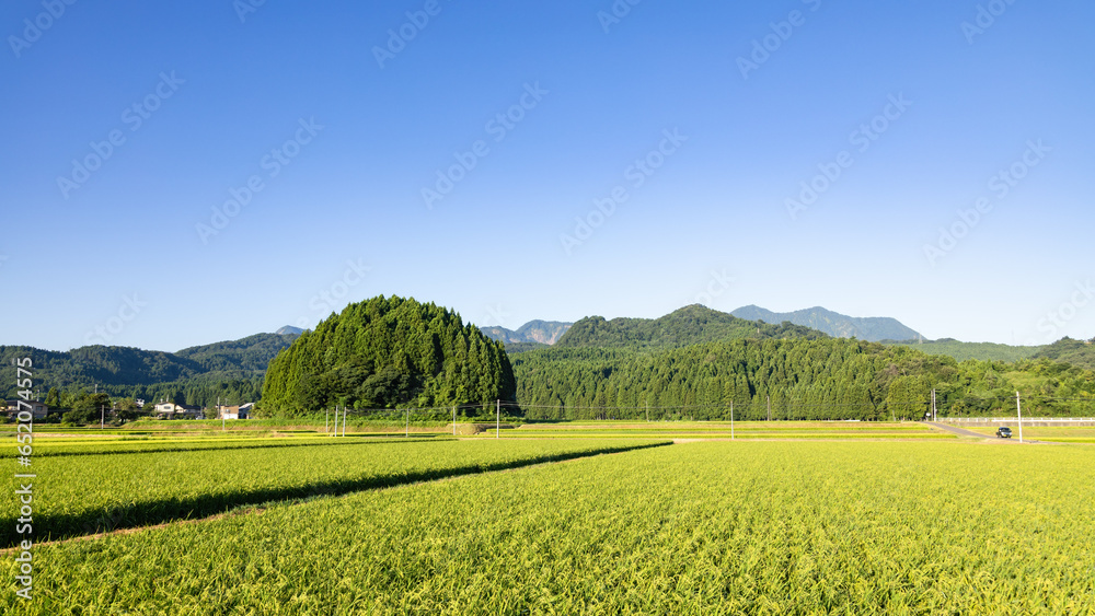 Fototapeta premium 糸魚川・八幡神社周辺の風景