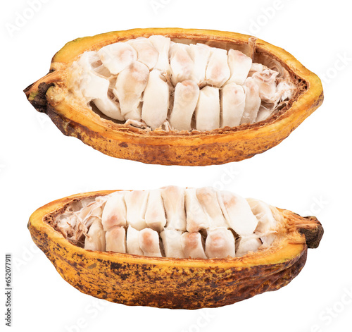 Cacao or Theobroma cacao fruit isolated on transparent background. photo
