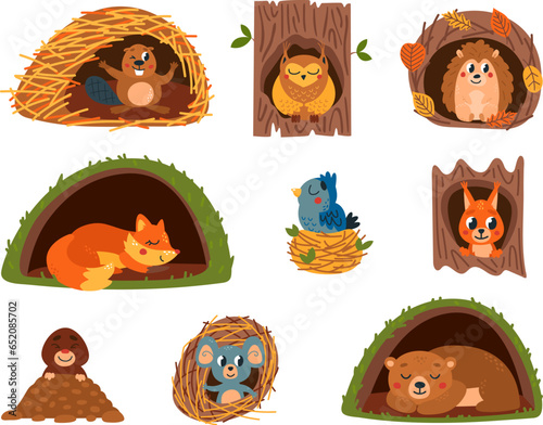Animals in holes. Animal home, cartoon fox sleep in hole. Shelter in forest and on tree, bird nest. Cute mouse. Squirrel and hedgehog classy vector set