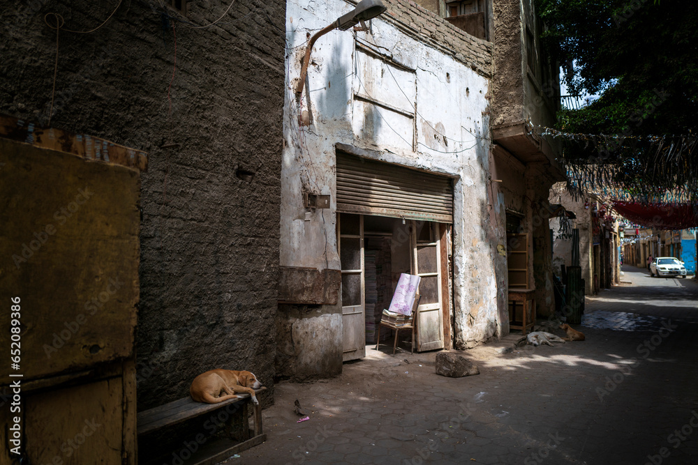 Egyptian alleyway in Cairo with shop front and sleepy dogs.
